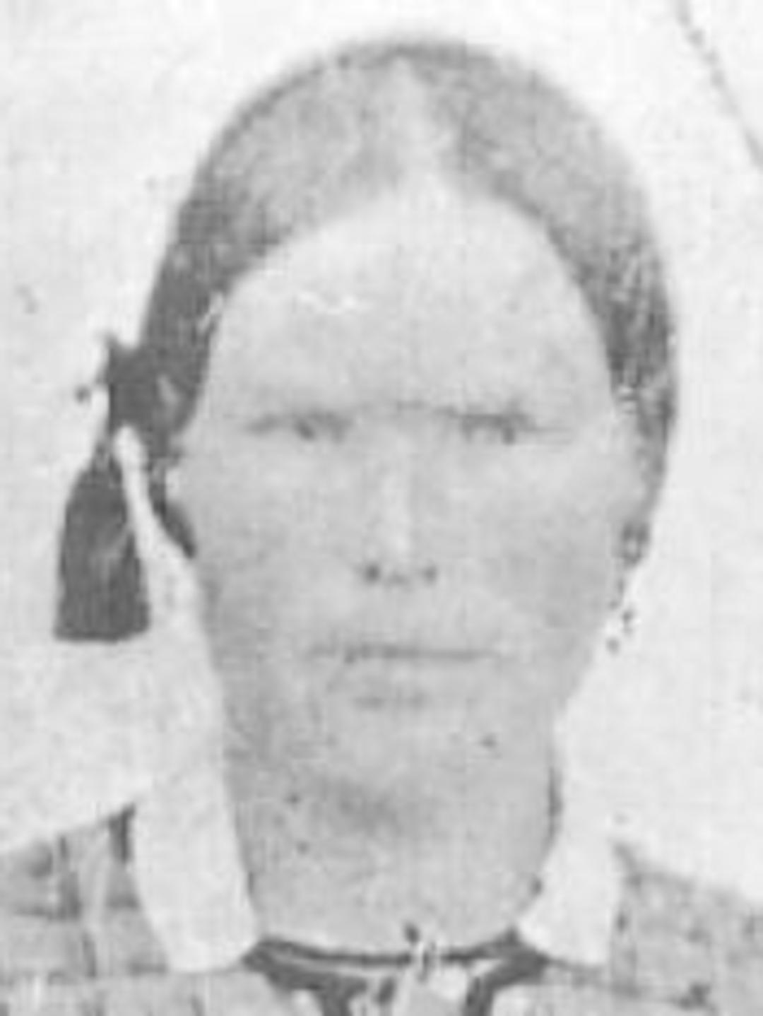 Cecelia Persson (1842 - 1881) Profile